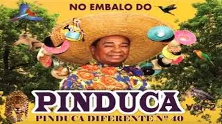 Pinduca 2018