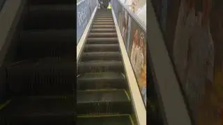 Те кто ничего в жизни не добился..