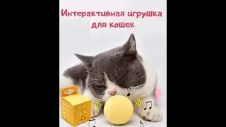 Игрушка для кошек, интерактивный мяч со звуком птички и кошачий мятой, имитация звуков животных