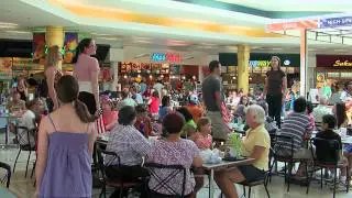 Food Court Flash Mob - America The Beautiful - Must See!