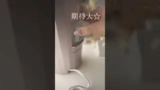 皆に相談して高い買い物してみたze☆機能多くて使いこなす自信ない。【開封生活音ASMR】