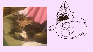 Drawing my cat until she becomes an incomprehensible shape… (filler)