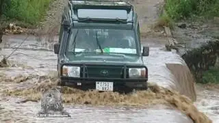 Close Call in Africa