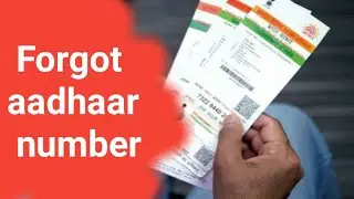 forgot aadhaar card number retrieve by name