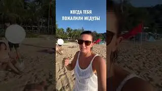 НАШЕСТВИЕ МЕДУЗ В АНДАМАНСКОМ МОРЕ. ТАИЛАНД, ПХУКЕТ, февраль 2023