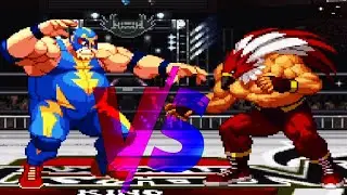 Raiden VS 