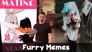 Furry Memes - Memes you watch when Mom's not looking