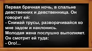Первая брачная ночь двух девственников... Анекдоты! Юмор! Позитив!