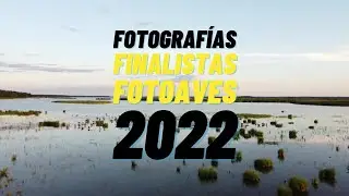 FotoAves 2022