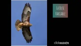 balade poétique et ornithologique sur le site de Touscayrats