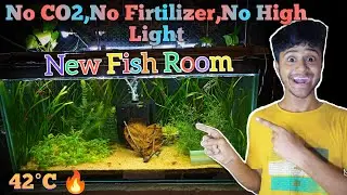 42°C 🔥MEIN MAINE MERE TANK KO NAYE ROOM MEIN SETUP KAR DIYA||💙 NEW FISH ROOM FOR MY PLANTED TANK
