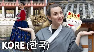 LONG AWAITED KOREA VIDEO VLOG 🎏🇰🇷🐈