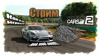 Project CARS 2 | Карьера новичка .| Руль + кпп: Z-SHIFTER