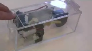World's most pointless machine