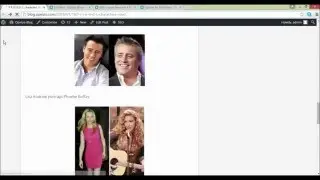 Tutorial 1 -  Single Poll for WordPress - Opinzo for Publishers