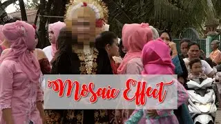 Mosaic Effect in Video Footage || Premiere Pro || Adobe Shorts