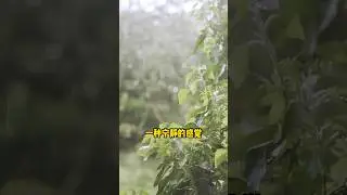 为什么我们都喜欢下雨的感觉，原来这一切都是因为。。￼ #情感 #心理学 #下雨声 #心灵鸡汤 #情绪