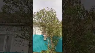 1 мая 2024 г.