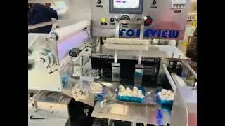 agriculture flow wrapping machine