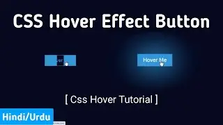 css hover effect button| hover button | css button