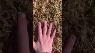 Touching grass for 900 subscribers