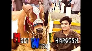 KHARGOSH - SAY - MULAKAT - IN -SOHRAB GOTH MANDI - 2K19 -SAMIRKHANV - VLOG#7