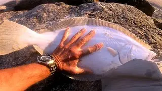 Late BIG Fall Fluke - MONSTER SUMMER SURF FLOUNDER FISHING - Running Down the Gulp Bait