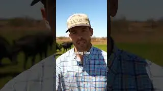 When a YOGI comes to the farm…🧘🏻‍♂️😳