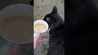 Outside with the Kittycat