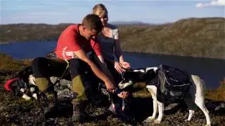 Kirkenes Snowhotel - Husky hike to Namdalen