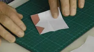 Brain challenge  d4