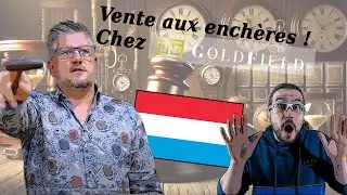 Je m'incruste dans une salle de vente aux enchères (c'est hallucinant ! )