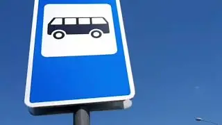 Питомник ,,ГОРЧУХИНО" , как добралась на автобусе.👍