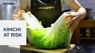 Climate crisis affects kimchi cabbage farming in South Korea