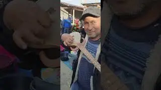 АБОСИ РЕВАДИ ЧОРШАНБЕ