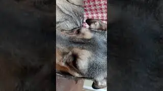 perdón por no subir videos antes💗
