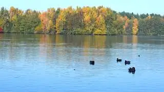 Still ruht der See!