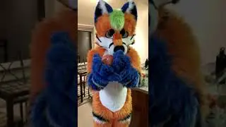 Tiger-Foxes are troublemakers