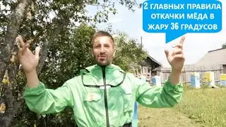 2 ГЛАВНЫХ ПРАВИЛА ОТКАЧКИ МЁДА В ЖАРУ 36 ГРАДУСОВ