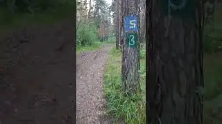 я мужик и я умею готовить лес
