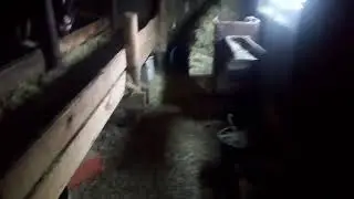 МЕЧТА СБЫЛАСЬ, КУПИЛИ Т 40ам. СЕЛЬСКИЕ БУДНИ
