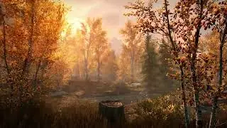 Skyrim - Ambience Day
