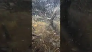 Yesterday in Massachusetts 