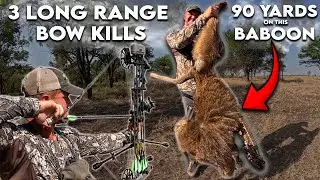 CRAZIEST Archery Shot EVER Captured on Film 🤯
