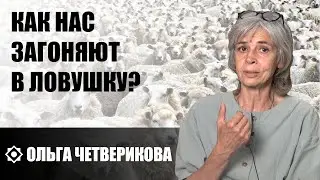 Четверикова О.Н 