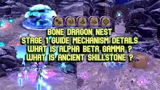 Bone Dragon Nest Stage 1 Guide Mechanism Details : What is Alpha Beta Gamma & How To Do ?