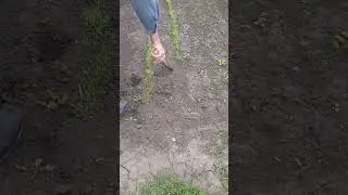 Мотыжка из рессоры #самоделки #сварка #дача #инструмент #своимируками