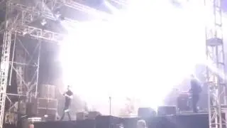Neon Wolf Electric Picnic 2016