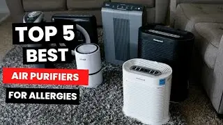 Best Air Purifiers For Allergies of (2023) - Top 5 Air Purifiers For Allergies