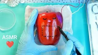 Hyper-Realistic ❤️ Heart Transplant Surgery on Bell Pepper | ASMR